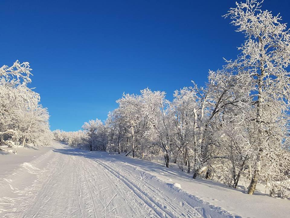 Bruksvallarna - Modern Fjaellstuga Med Panoramautsikt Och Wifi Exterior foto